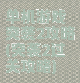 单机游戏突袭2攻略(突袭2过关攻略)