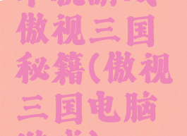 单机游戏傲视三国秘籍(傲视三国电脑游戏)