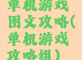 单机游戏图文攻略(单机游戏攻略组)
