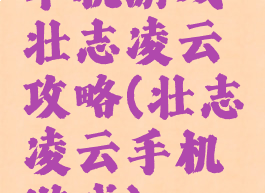 单机游戏壮志凌云攻略(壮志凌云手机游戏)
