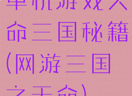 单机游戏天命三国秘籍(网游三国之天命)