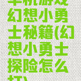 单机游戏幻想小勇士秘籍(幻想小勇士探险怎么打)