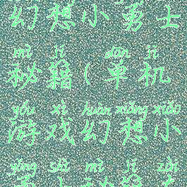 单机游戏幻想小勇士秘籍(单机游戏幻想小勇士秘籍在哪)
