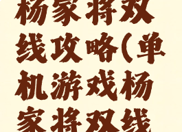 单机游戏杨家将双线攻略(单机游戏杨家将双线攻略视频)