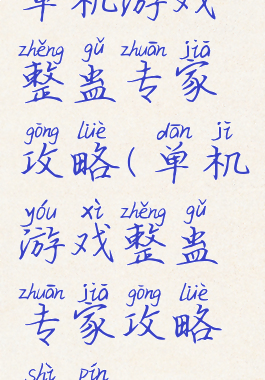 单机游戏整蛊专家攻略(单机游戏整蛊专家攻略视频)