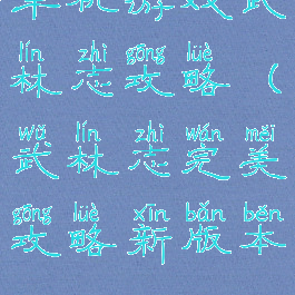 单机游戏武林志攻略(武林志完美攻略新版本)