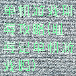 单机游戏耻辱攻略(耻辱是单机游戏吗)
