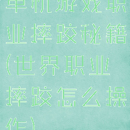 单机游戏职业摔跤秘籍(世界职业摔跤怎么操作)