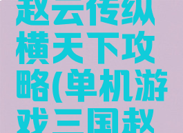 单机游戏赵云传纵横天下攻略(单机游戏三国赵云传攻略)