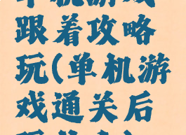 单机游戏跟着攻略玩(单机游戏通关后玩什么)