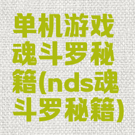 单机游戏魂斗罗秘籍(nds魂斗罗秘籍)