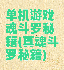 单机游戏魂斗罗秘籍(真魂斗罗秘籍)
