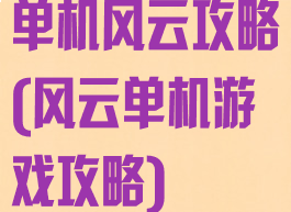 单机风云攻略(风云单机游戏攻略)