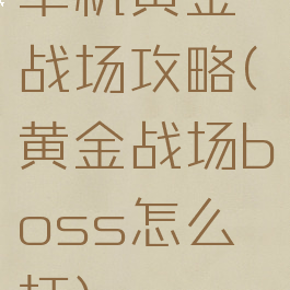 单机黄金战场攻略(黄金战场boss怎么打)