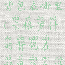 卡格罗什的背包在哪里(卡格罗什的背包在哪里怎么进去)