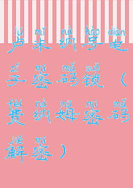 卢米纳号电子密码锁(费纳姆密码解密)