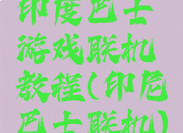 印度巴士游戏联机教程(印尼巴士联机)