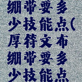 厚符文布绷带要多少技能点(厚符文布绷带要多少技能点才能用)