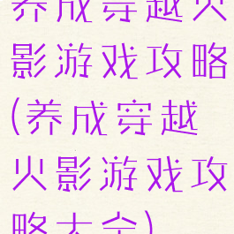 养成穿越火影游戏攻略(养成穿越火影游戏攻略大全)