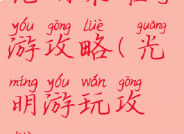 光明荣耀手游攻略(光明游玩攻略)
