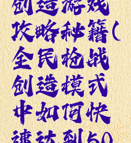 全民枪战创造游戏攻略秘籍(全民枪战创造模式中如何快速达到50级)