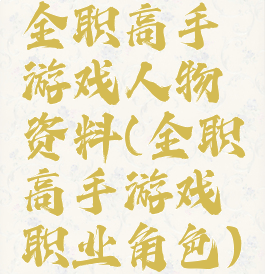 全职高手游戏人物资料(全职高手游戏职业角色)