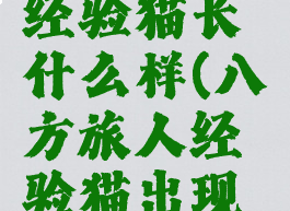 八方旅人经验猫长什么样(八方旅人经验猫出现位置)
