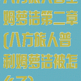八方旅人普里姆萝洁第二章(八方旅人普利姆萝洁被怎么了)