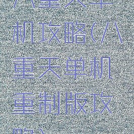 八重天单机攻略(八重天单机重制版攻略)