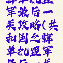 共和国之辉单机盟军最后一关攻略(共和国之辉单机盟军最后一关攻略图)
