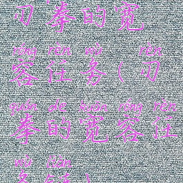 刃拳的宽容任务(刃拳的宽容任务链)