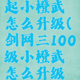 剑网三缘起小橙武怎么升级(剑网三100级小橙武怎么升级怎么换)