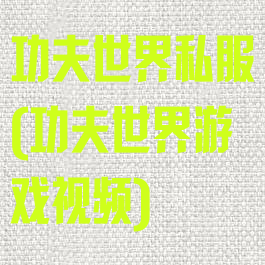 功夫世界私服(功夫世界游戏视频)