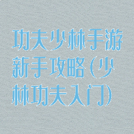 功夫少林手游新手攻略(少林功夫入门)