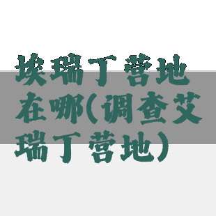 埃瑞丁营地在哪(调查艾瑞丁营地)