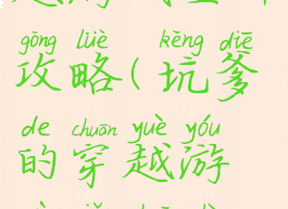 坑爹的穿越游戏全部攻略(坑爹的穿越游戏小说视频)