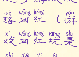 坑爹游戏攻略网红(游戏网红坑是什么意思)