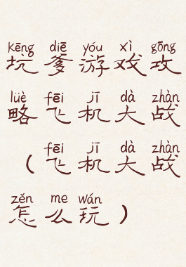 坑爹游戏攻略飞机大战(飞机大战怎么玩)