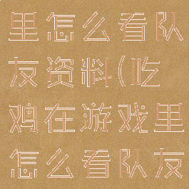 吃鸡在游戏里怎么看队友资料(吃鸡在游戏里怎么看队友资料信息)