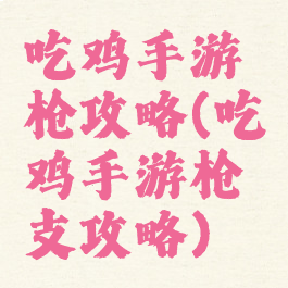 吃鸡手游枪攻略(吃鸡手游枪支攻略)