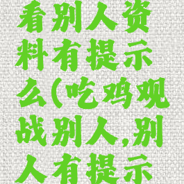 吃鸡游戏看别人资料有提示么(吃鸡观战别人,别人有提示吗)