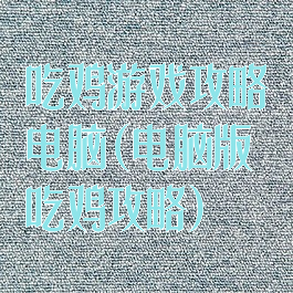 吃鸡游戏攻略电脑(电脑版吃鸡攻略)