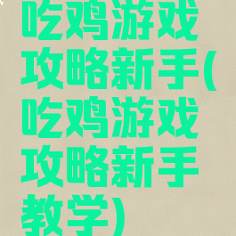吃鸡游戏攻略新手(吃鸡游戏攻略新手教学)