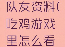 吃鸡游戏里怎么看队友资料(吃鸡游戏里怎么看队友资料信息)