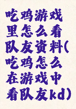 吃鸡游戏里怎么看队友资料(吃鸡怎么在游戏中看队友kd)