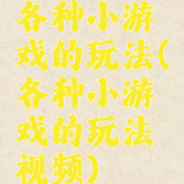 各种小游戏的玩法(各种小游戏的玩法视频)