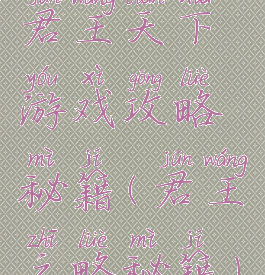 君王天下游戏攻略秘籍(君王之略秘籍)