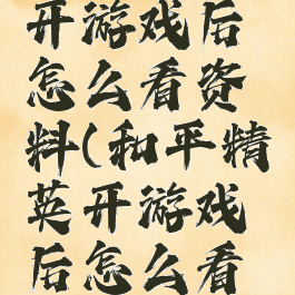 和平精英开游戏后怎么看资料(和平精英开游戏后怎么看资料库)