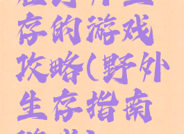 在野外生存的游戏攻略(野外生存指南游戏)