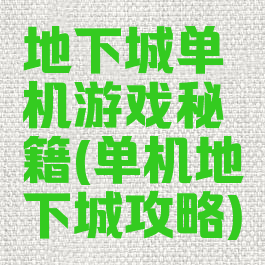 地下城单机游戏秘籍(单机地下城攻略)